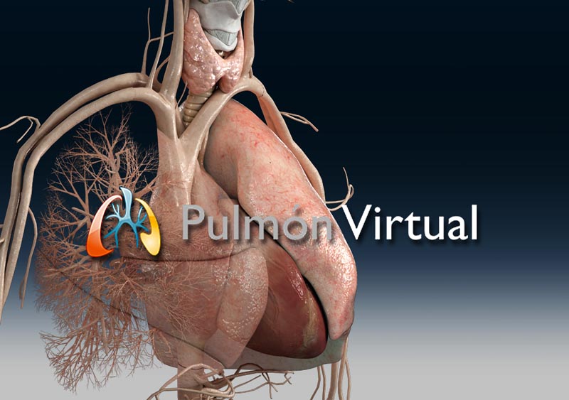 Pulmón Virtual - 2