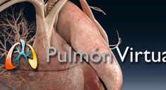 Pulmón Virtual