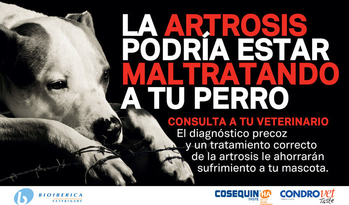 Artrosi - 1