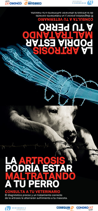 Artrosi - 3