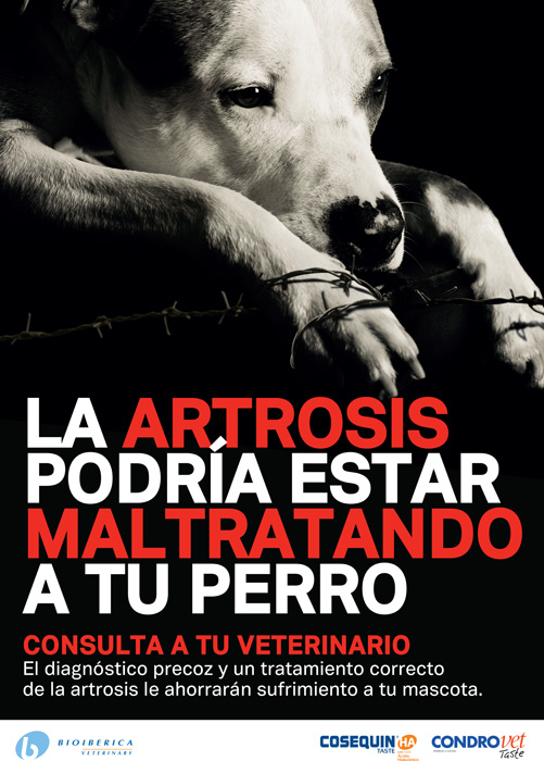 Artrosi - 4