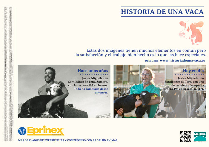 Historia de una Vaca - 3