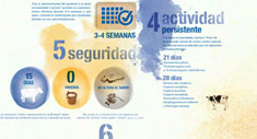 Historia de una Vaca