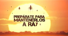 Pican, pican los mosquitos