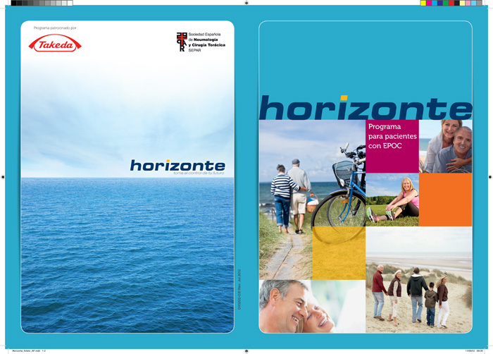 Programa de Soporte a Pacientes Horizonte - 3