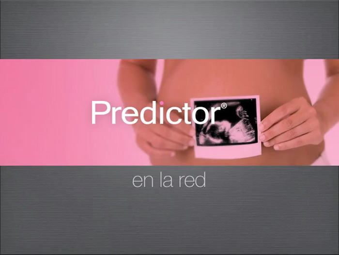 Predictor en Red - 2