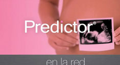 Predictor en Red