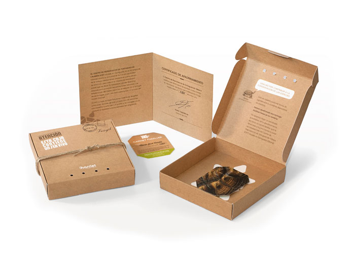 Caja tortuga - 1