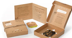 Caja tortuga