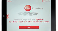 The Lmax Experience