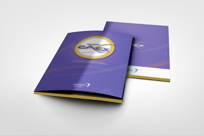 Proyecto Cavex - 4