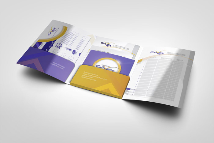 Proyecto Cavex - 6