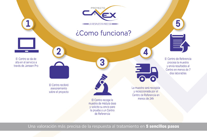 Proyecto Cavex - 7