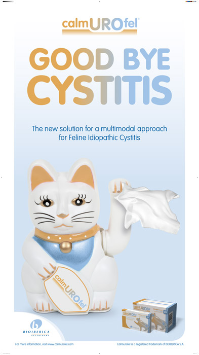 Goog Bye Cistitis - 3