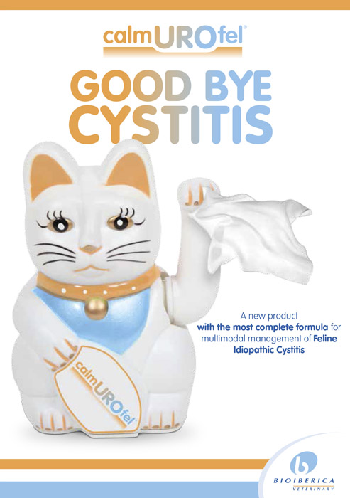 Goog Bye Cistitis - 4