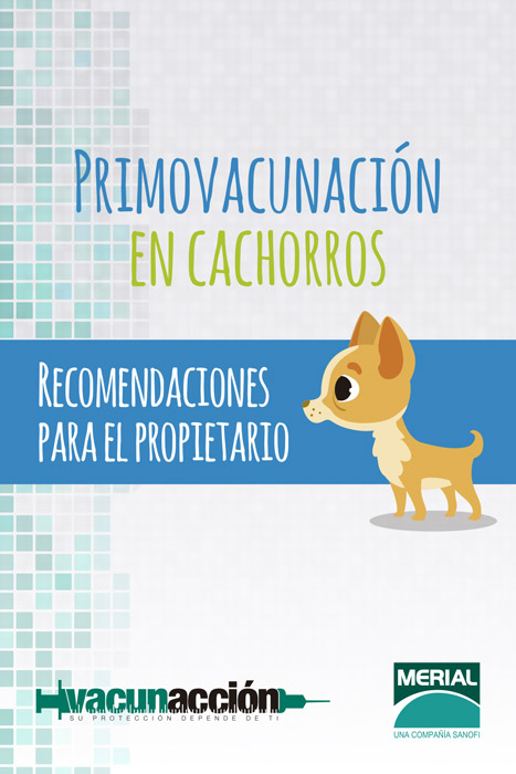 Saca al veterinario que llevas dentro - 7