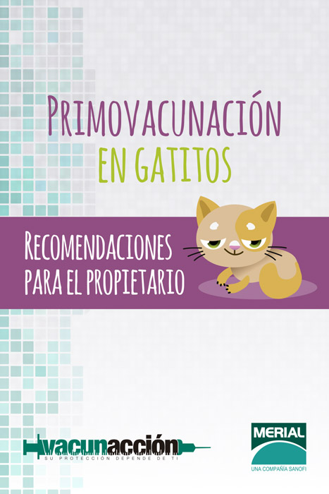 Saca al veterinario que llevas dentro - 8