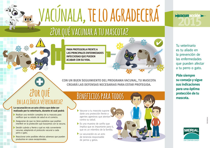 Saca al veterinario que llevas dentro - 11