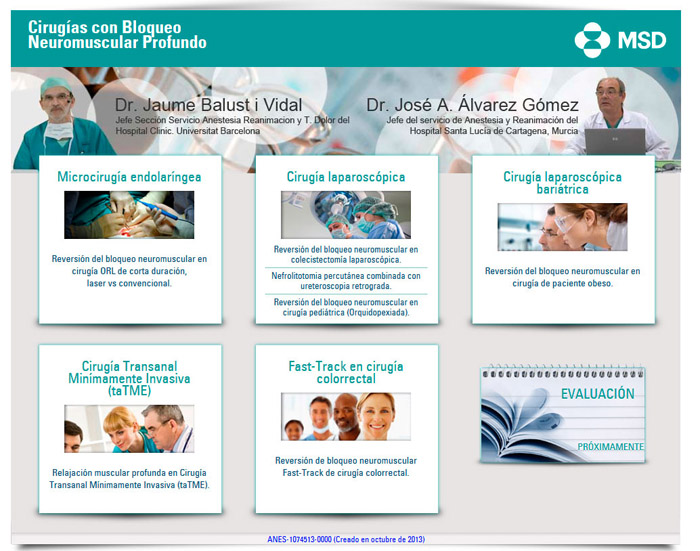 Programa de Cirugías: Anestesia - 2