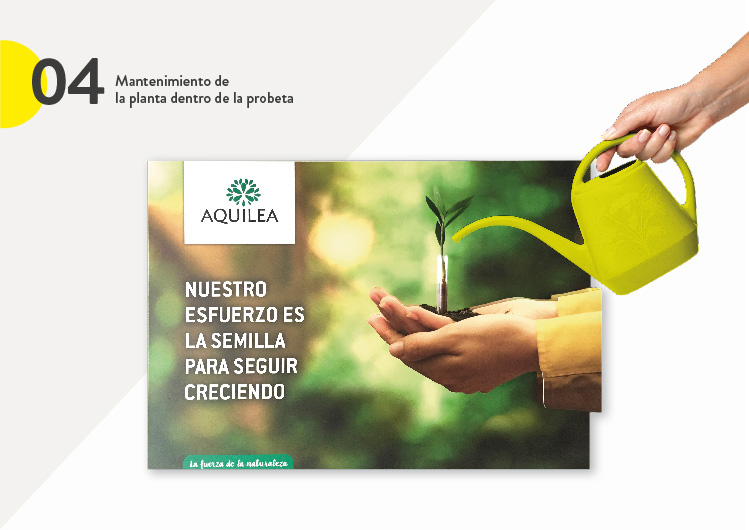 Póster Vivo - 5