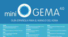 GEMA4.0