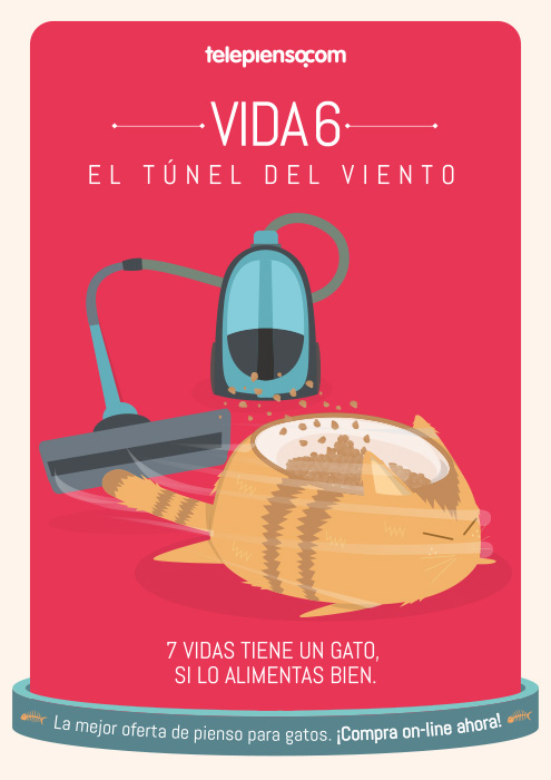 7 vidas tiene un gato si lo alimentas bien - 1
