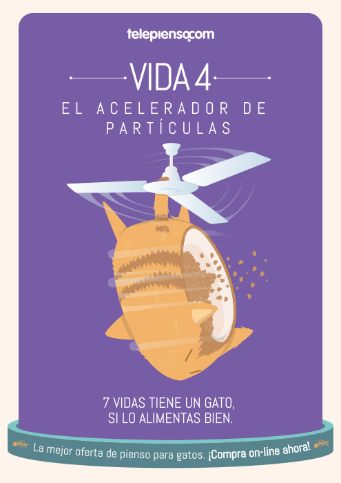 7 vidas tiene un gato si lo alimentas bien - 3