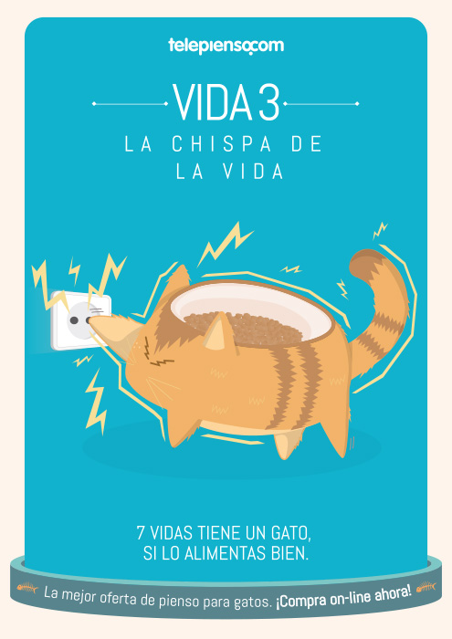 7 vidas tiene un gato si lo alimentas bien - 4