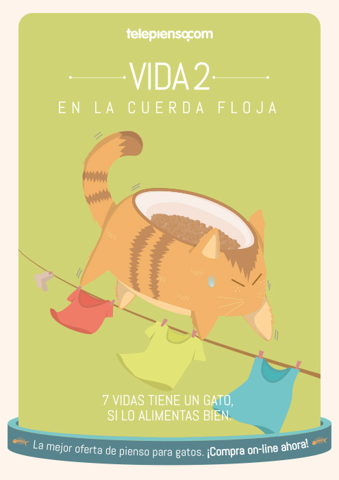 7 vidas tiene un gato si lo alimentas bien - 5