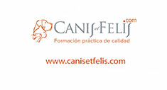 Canisetfelis.com - La web de Canis et Felis