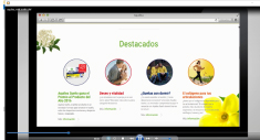 Website La Fuerza de la Naturaleza