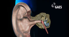 Viviendo el Sonido