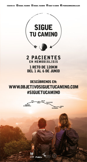 Sigue tu Camino - 12