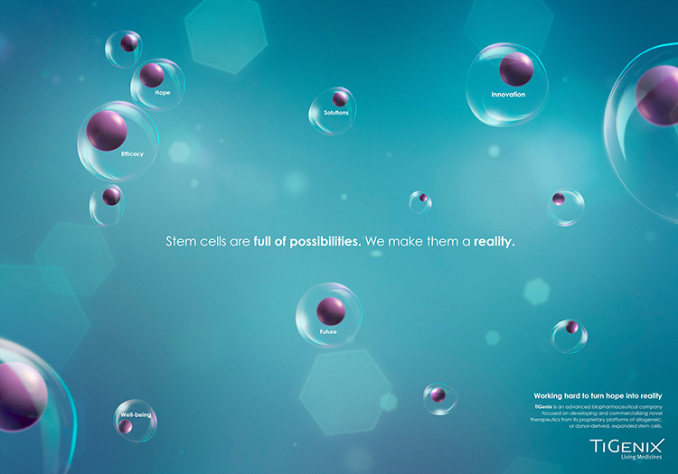 Stem cells: A universe of possibilities - 3