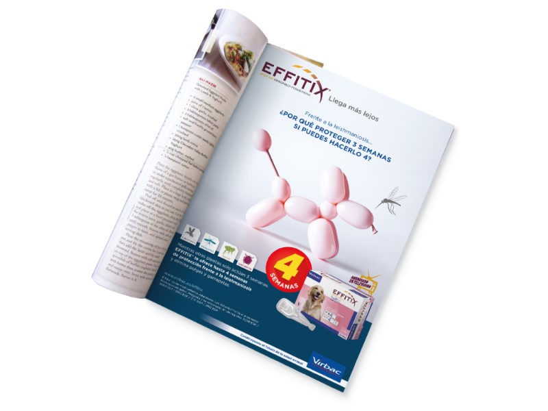Effitix llega más lejos - 2
