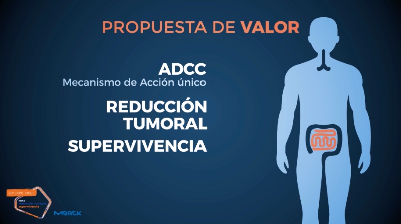 Ver para Creer - 2
