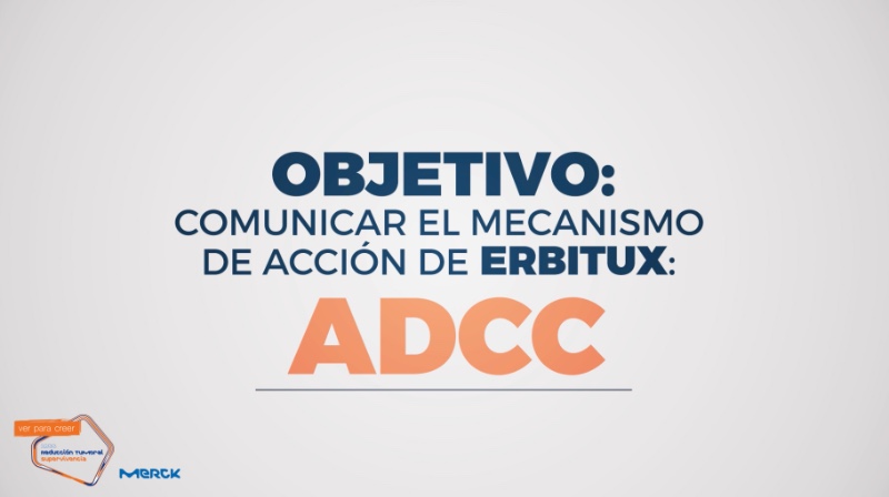 Ver para Creer - 3