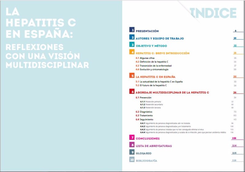 La hepatitis C en España: Reflexiones... - 2