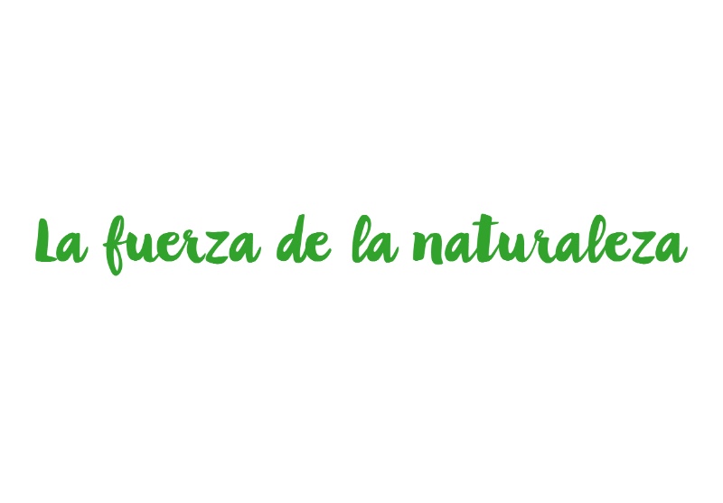 LA FUERZA DE LA NATURALEZA - 4