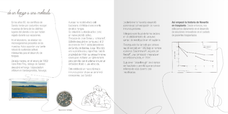 Unidos al trasplante - 6