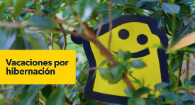 Vacaciones por hibernación
