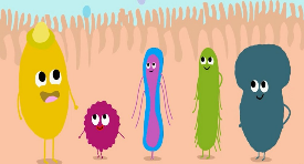 La microbiota intestinal y el uso de antibióticos