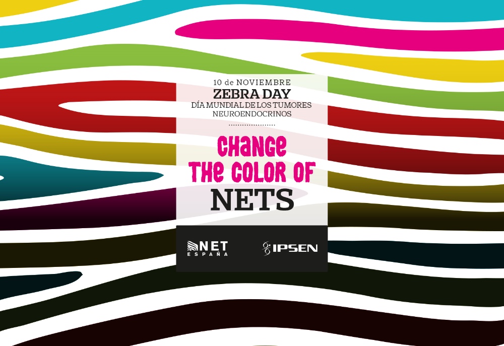 Change the colors of NETS - 2