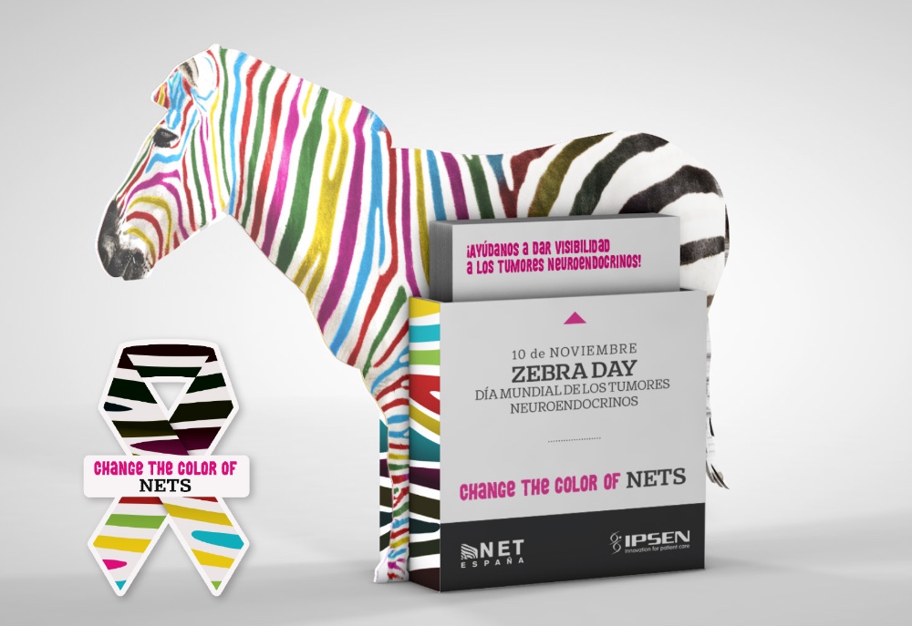 Change the colors of NETS - 3