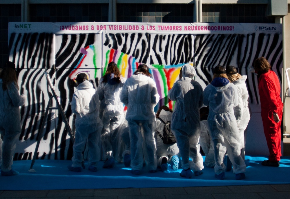 Change the colors of NETS - 5