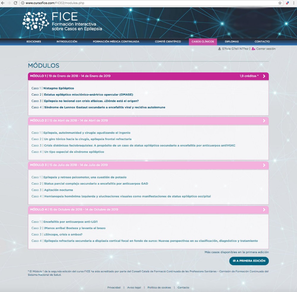 FICE - 3