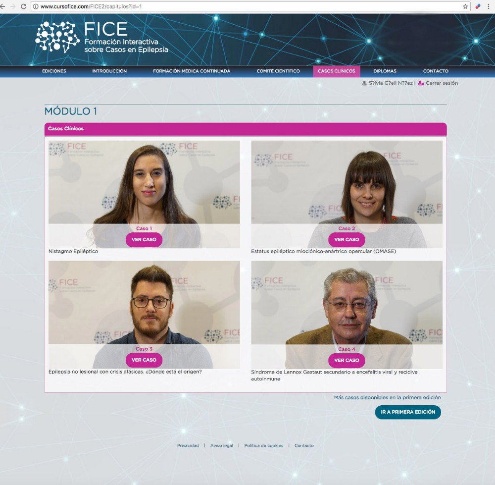 FICE - 4