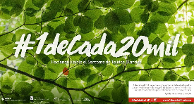 #1deCada20mil: haciendo visible lo invisble