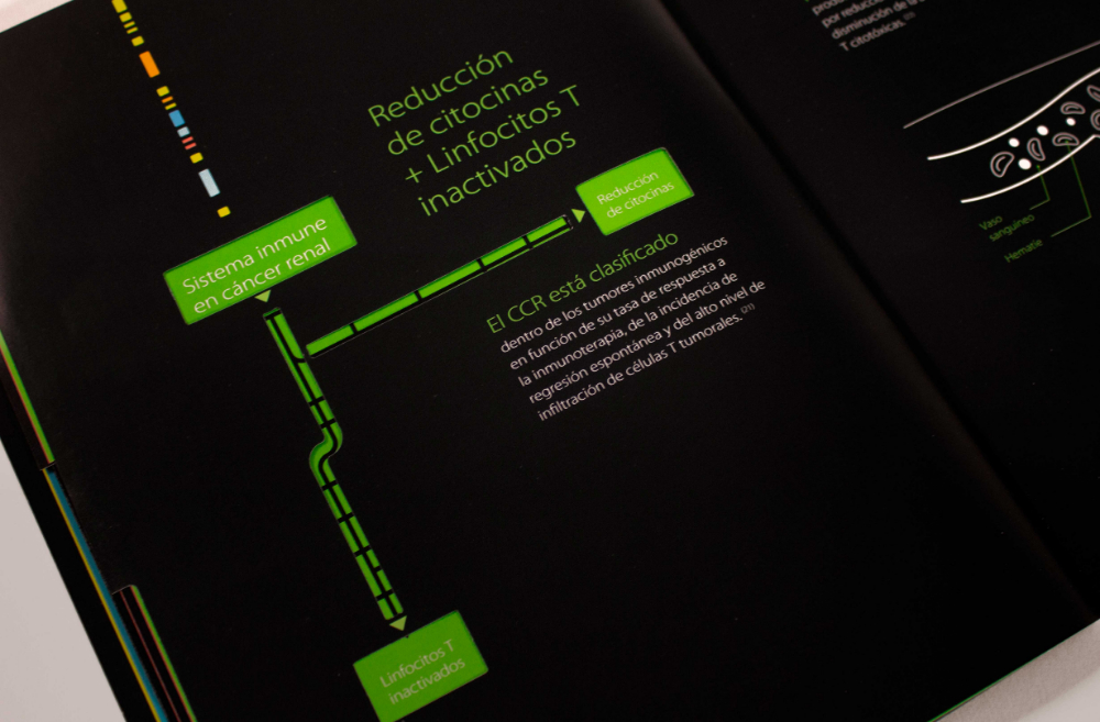 Los Siete Pasos Clave de la Inmuno-Oncología - 9