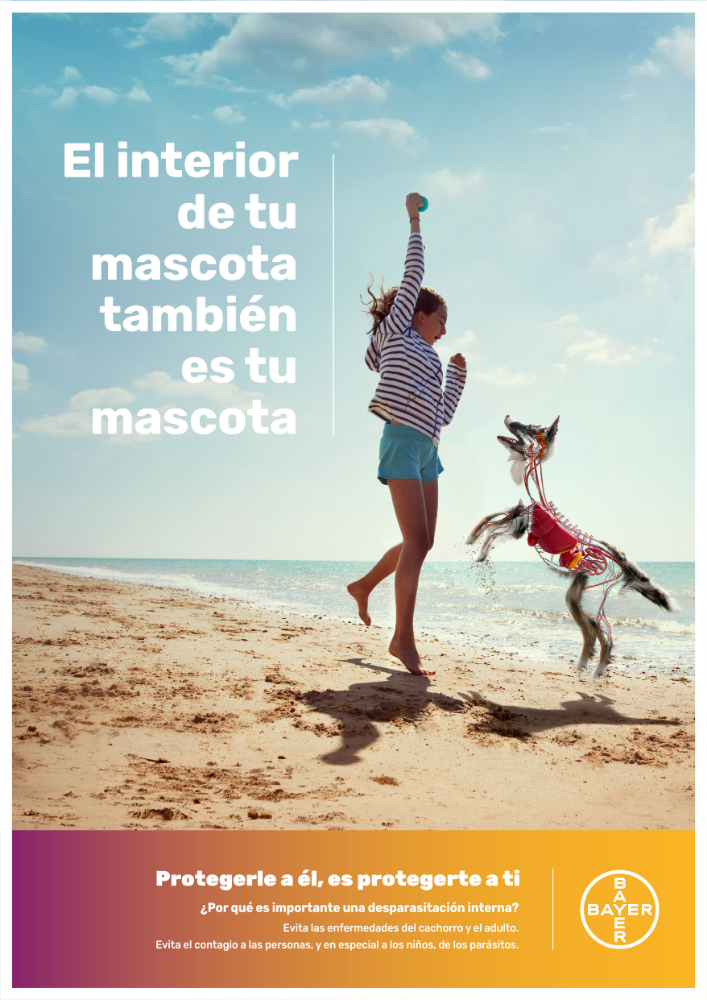 El interior de tu mascota también es tu mascota - 4